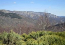 Le versant sud du Mont Lozère vu du col de Chalsio